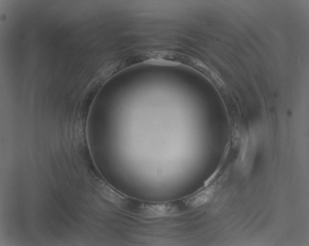 X0000051240473200506241526