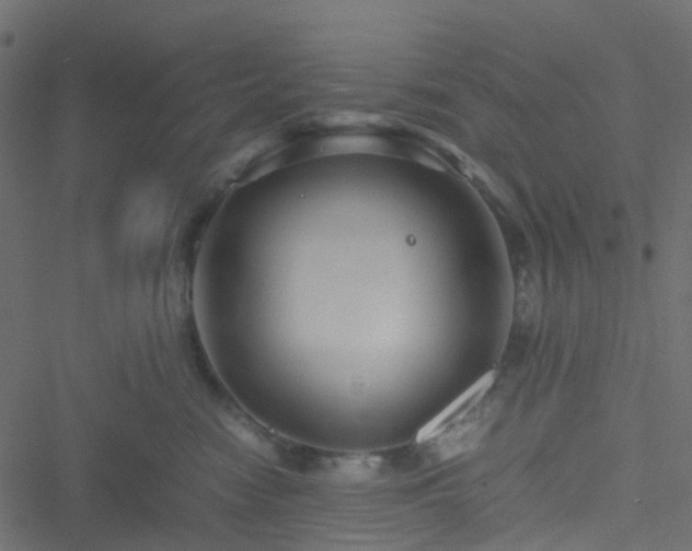 X0000051240474200506241526