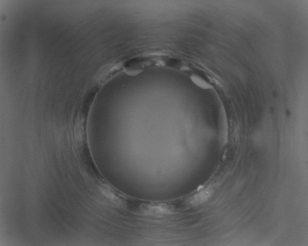 X0000051240475200506241526