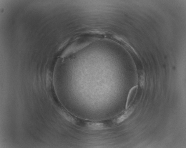 X0000051240476200506241526