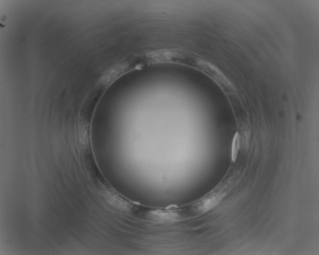 X0000051240477200506241526