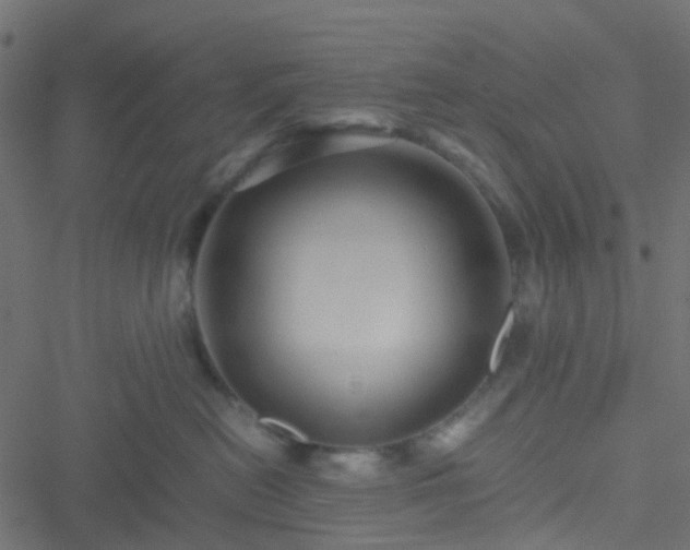 X0000051240478200506241526