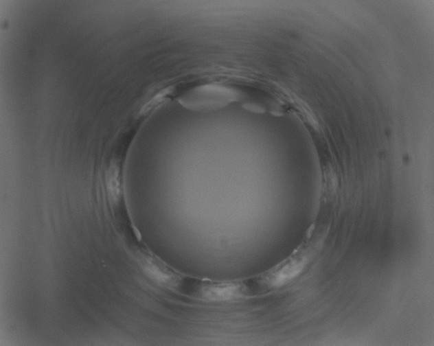 X0000051240479200506241526