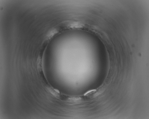 X0000051240480200506241526