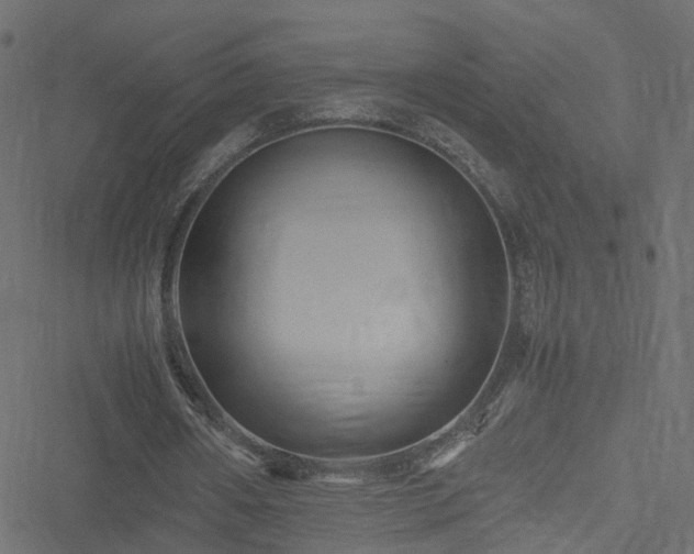 X0000051240482200506241525