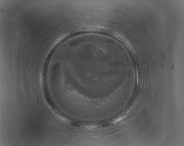 X0000051240483200506241525