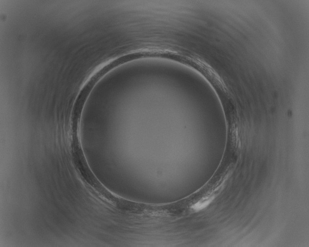 X0000051240484200506241525