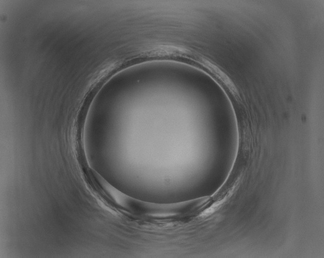 X0000051240485200506241525