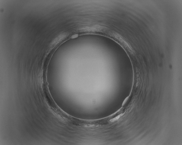 X0000051240486200506241525