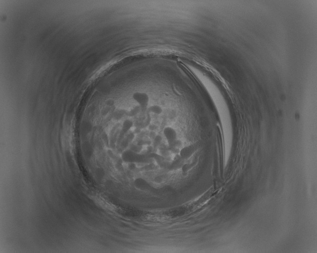 X0000051240487200506241525