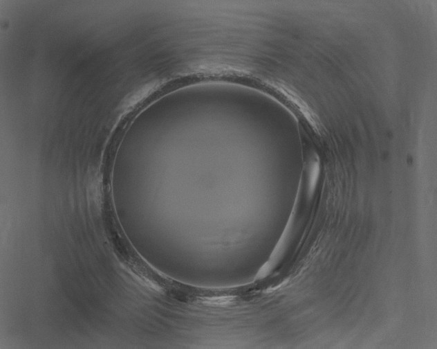 X0000051240488200506241525