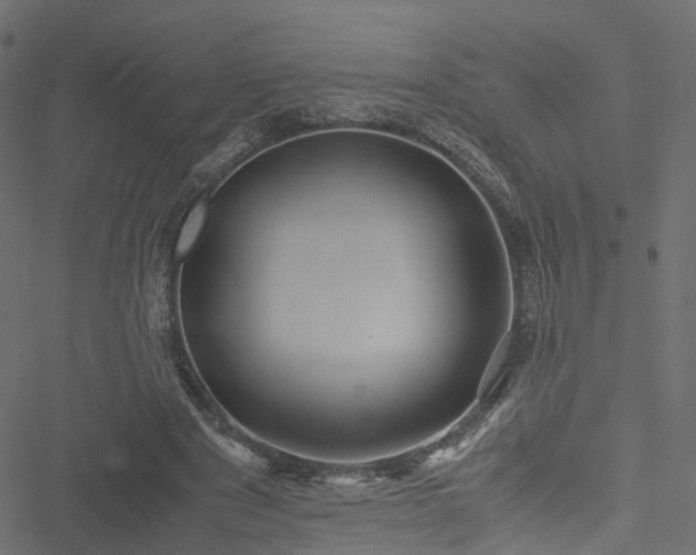 X0000051240489200506241525