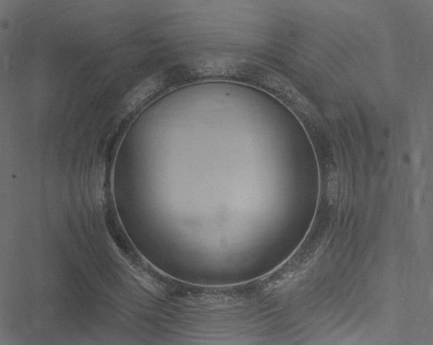 X0000051240490200506241525