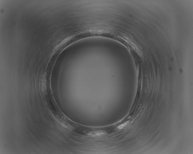 X0000051240492200506241525