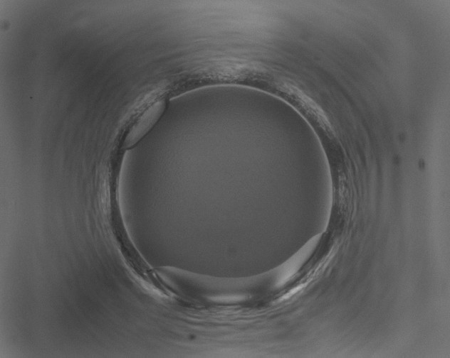 X0000051240493200506241525