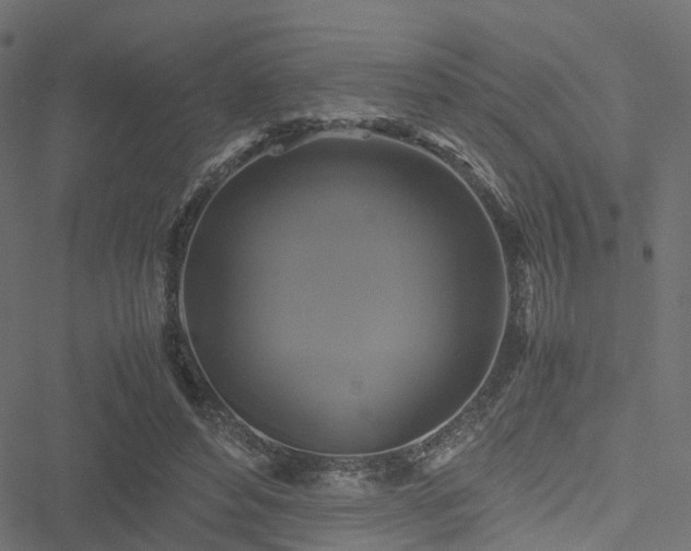 X0000051240496200506241525