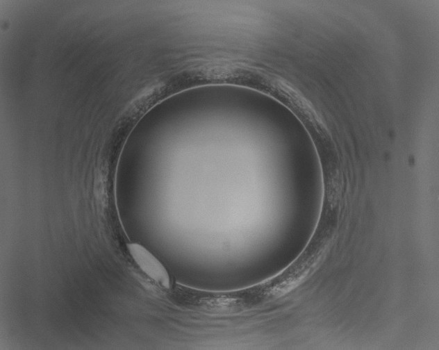 X0000051240497200506241525