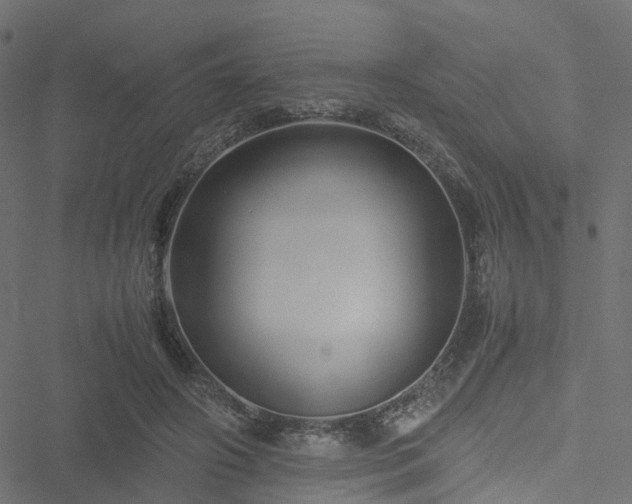 X0000051240498200506241525