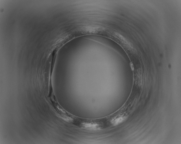 X0000051240500200506241525