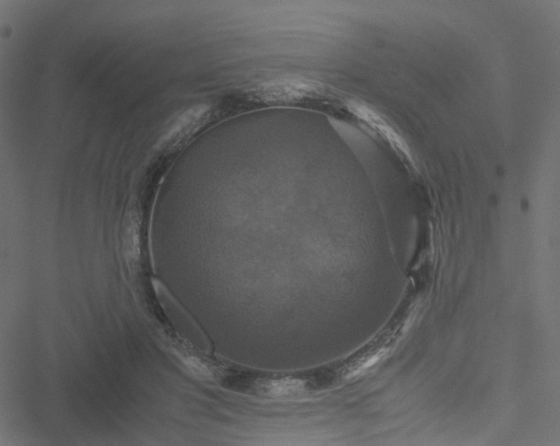 X0000051240501200506241525