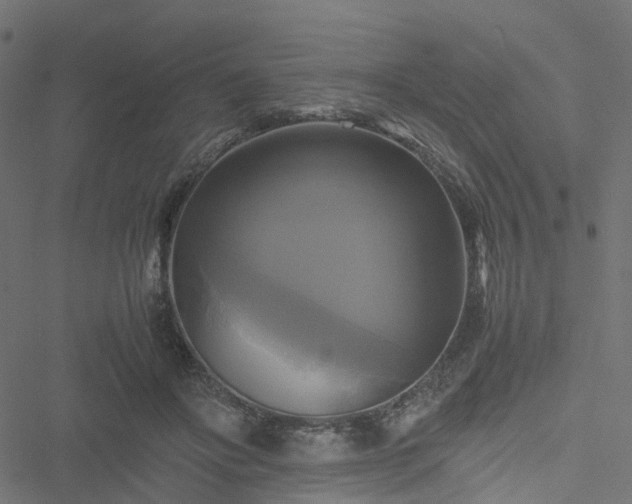 X0000051240502200506241525