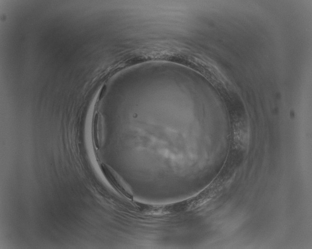 X0000051240503200506241525