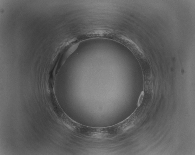 X0000051240504200506241525