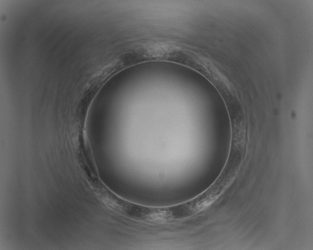 X0000051240505200506241525