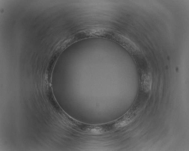 X0000051240506200506241525