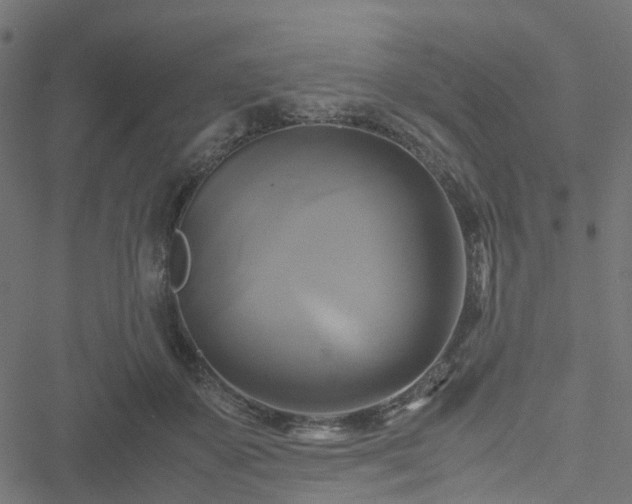 X0000051240507200506241525