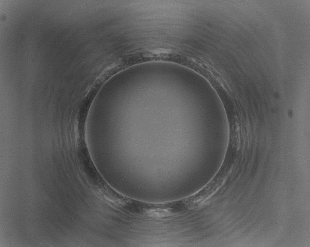 X0000051240508200506241525