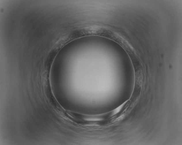 X0000051240509200506241525