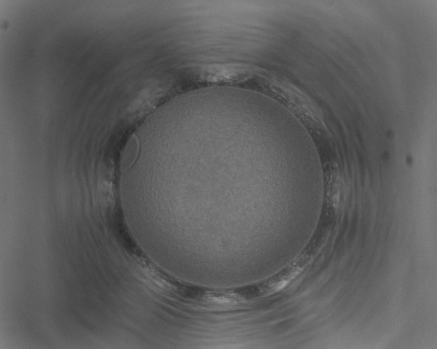 X0000051240510200506241525