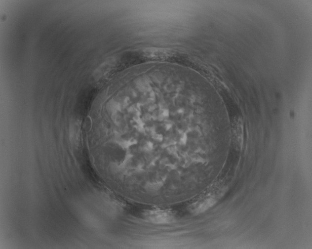 X0000051240511200506241525