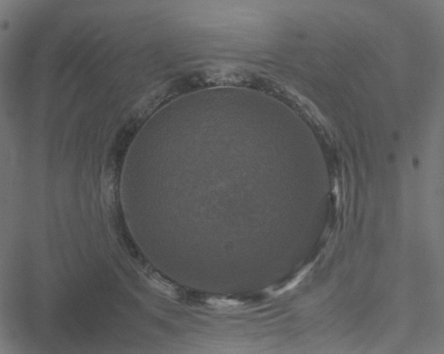 X0000051240513200506241525