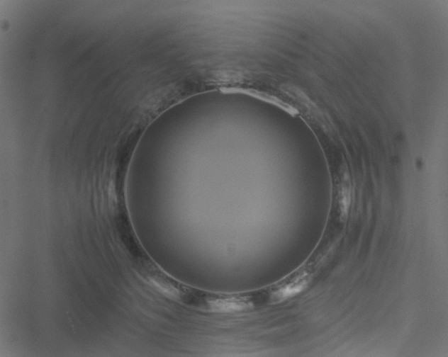 X0000051240516200506241524