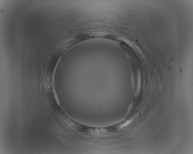 X0000051240517200506241524