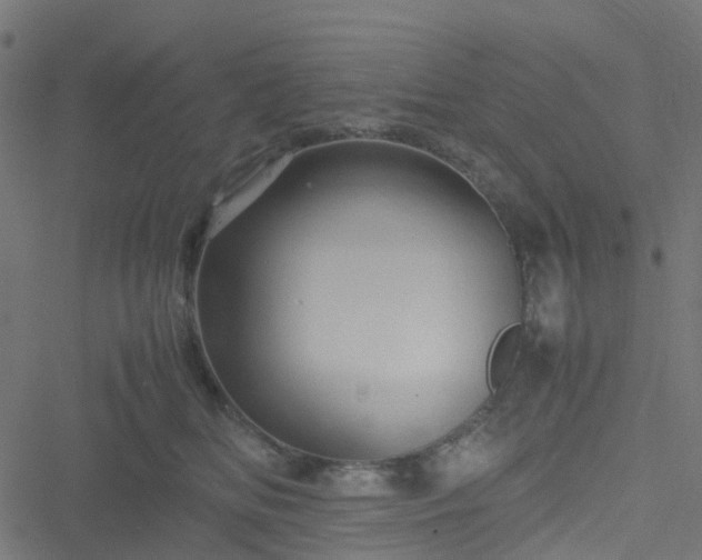 X0000051240518200506241524