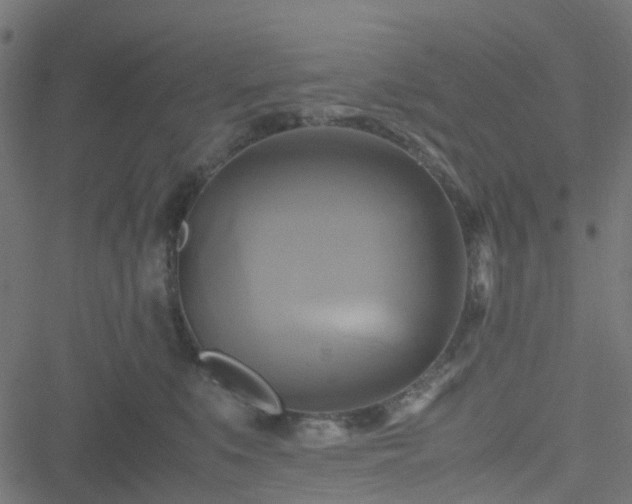 X0000051240519200506241524