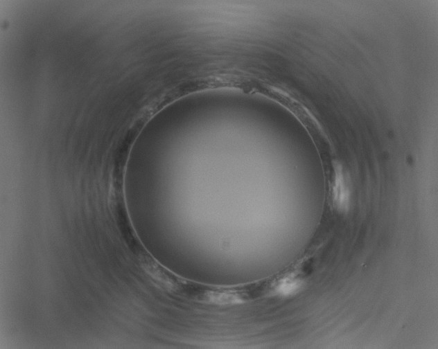 X0000051240520200506241524