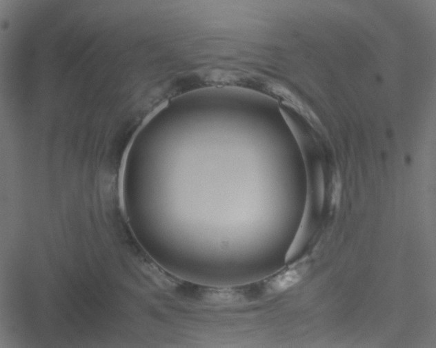 X0000051240521200506241524