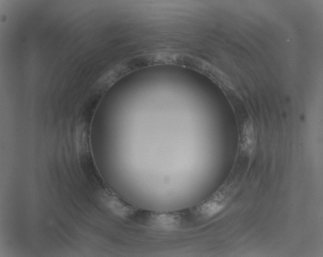 X0000051240522200506241524