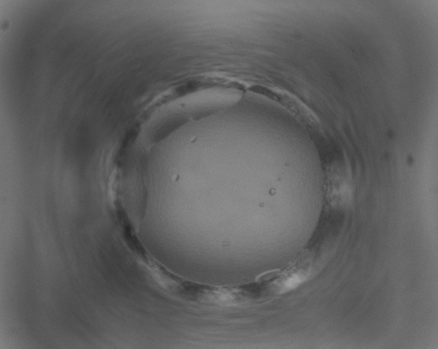 X0000051240523200506241524