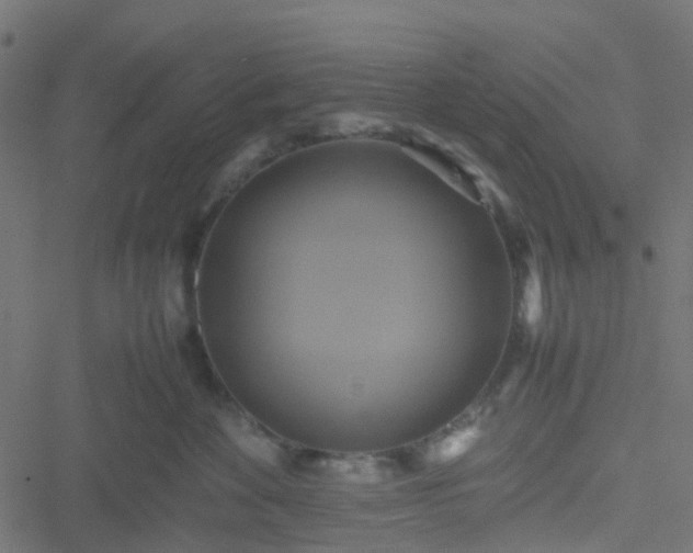 X0000051240524200506241524