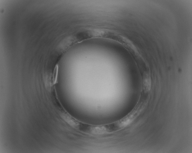 X0000051240525200506241524