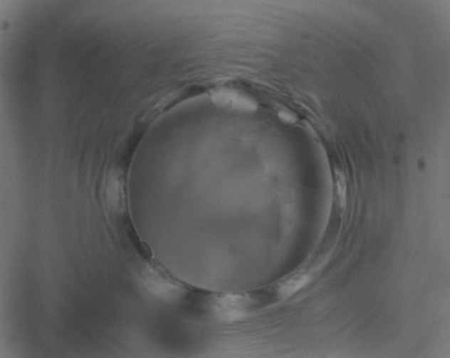 X0000051240527200506241524