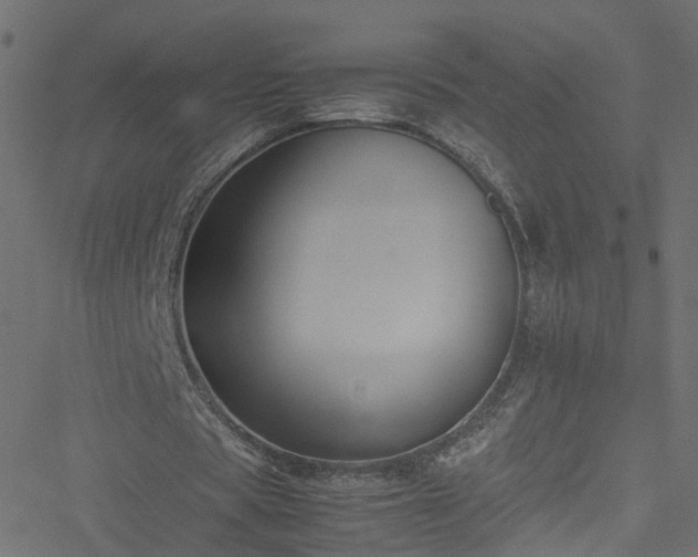 X0000051240529200506241524