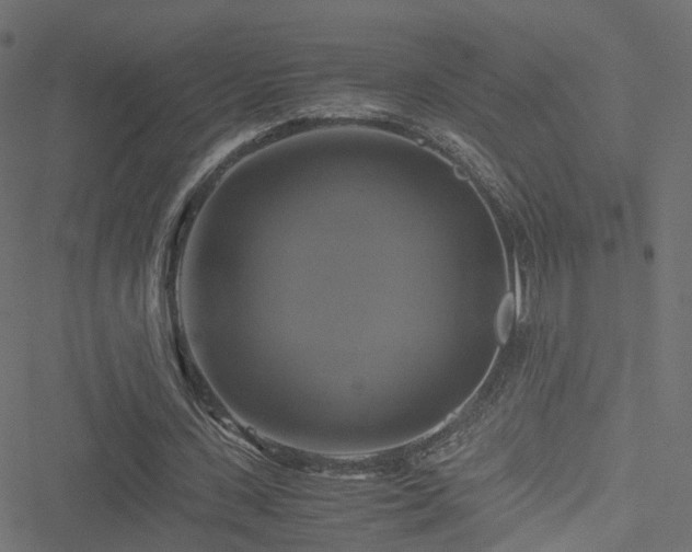 X0000051240531200506241524