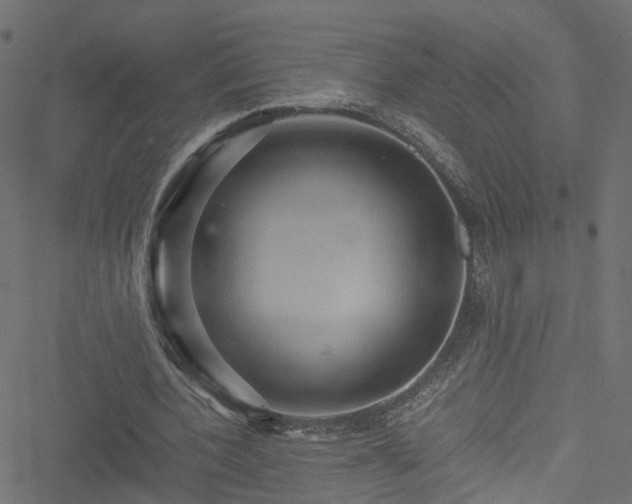 X0000051240532200506241524