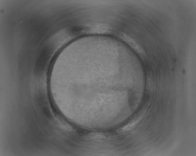 X0000051240534200506241524